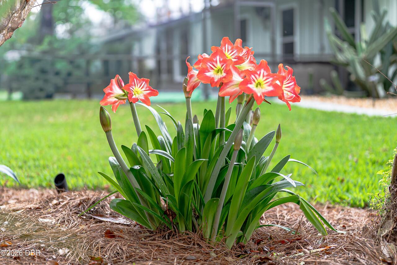 Listing Photo 64
