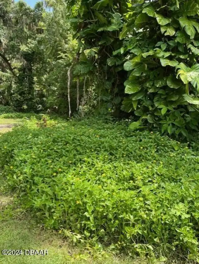 Listing Photo 20