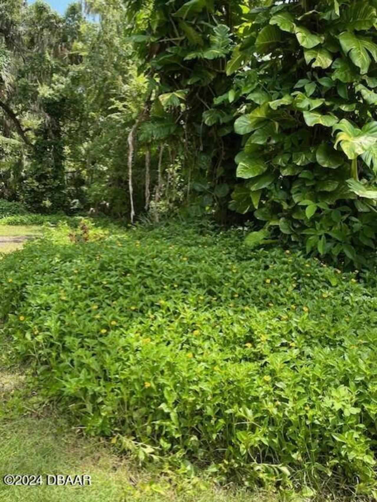 Listing Photo 20