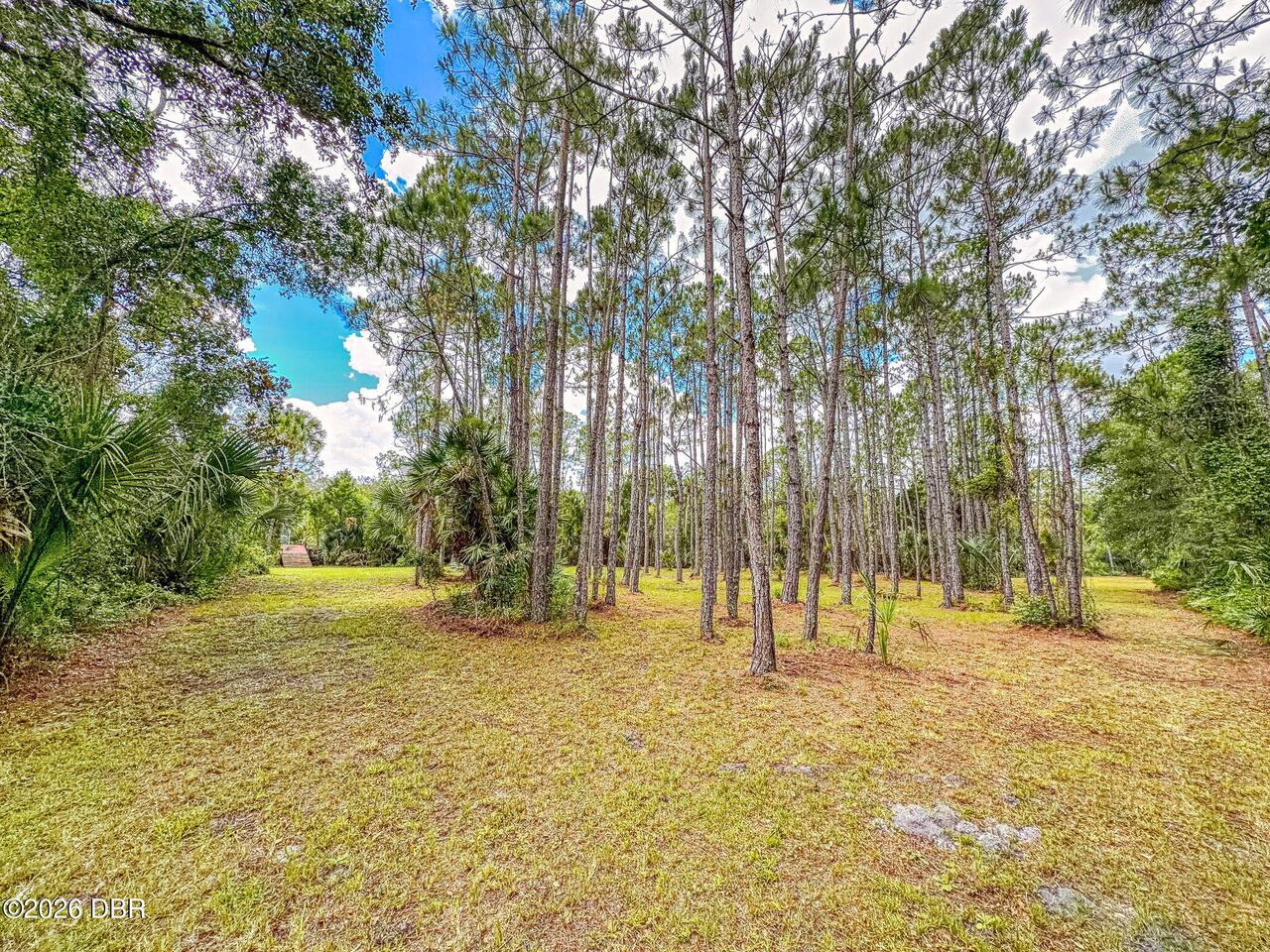 Listing Photo 67