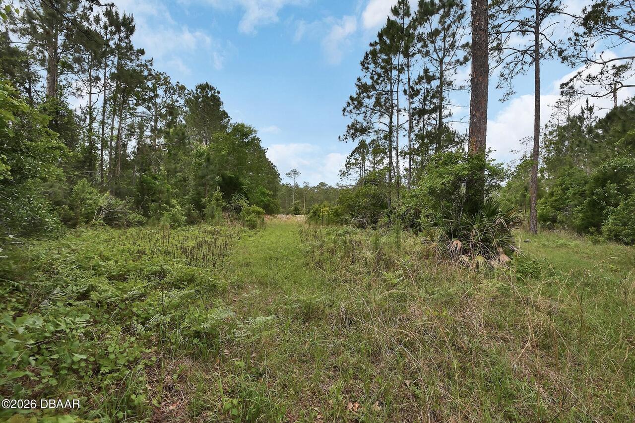 Listing Photo 10