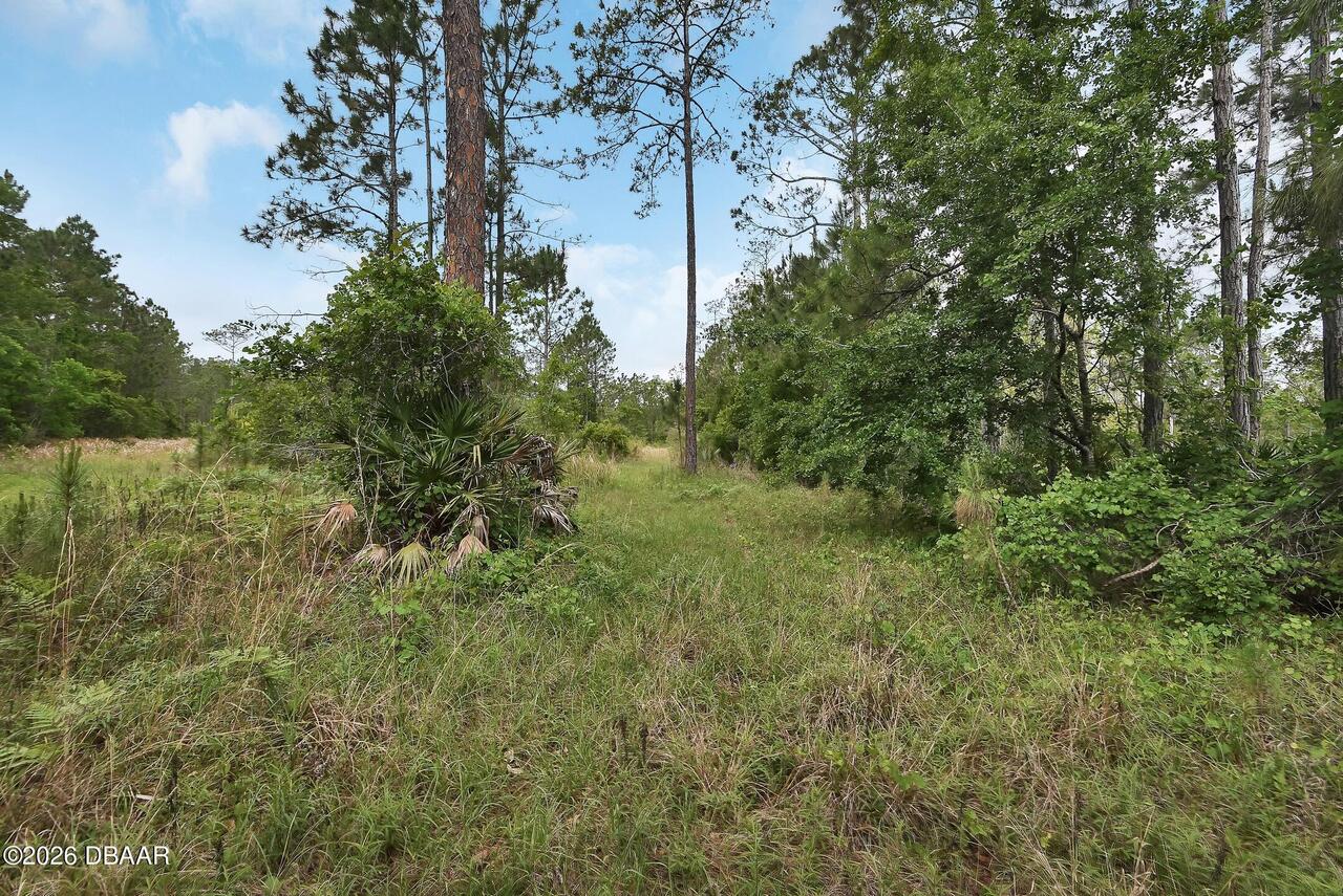 Listing Photo 11