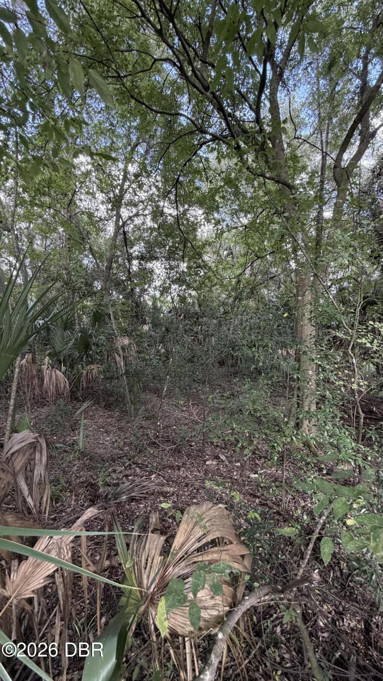 Listing Photo 8