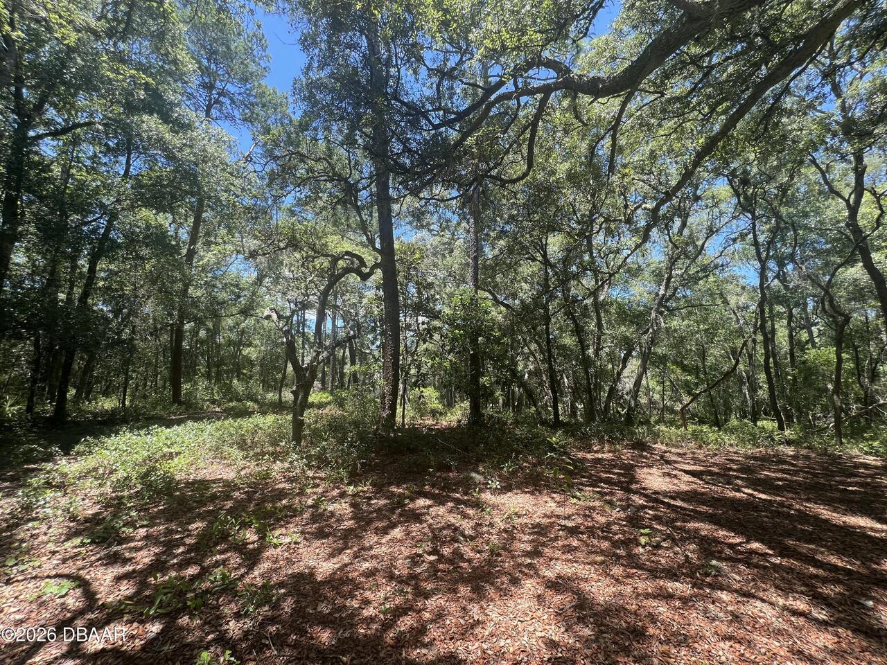 Listing Photo 14