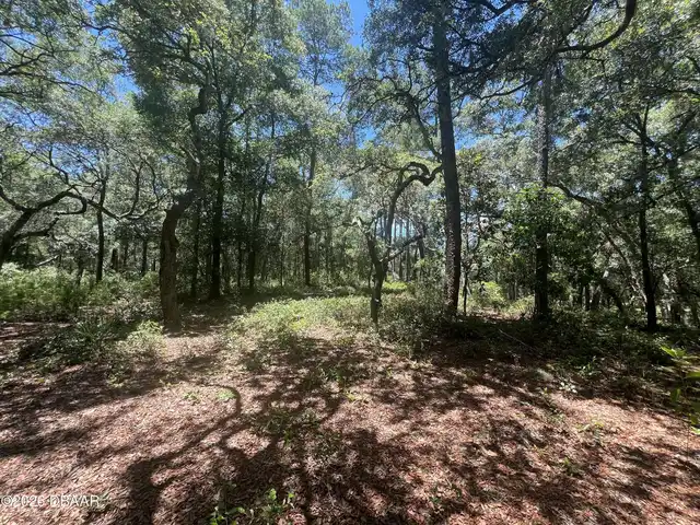 Listing Photo 15