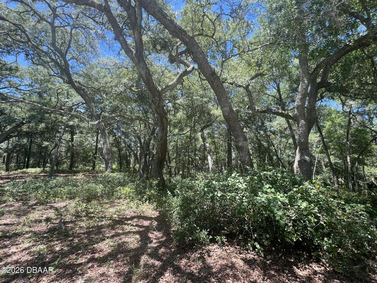 Listing Photo 16
