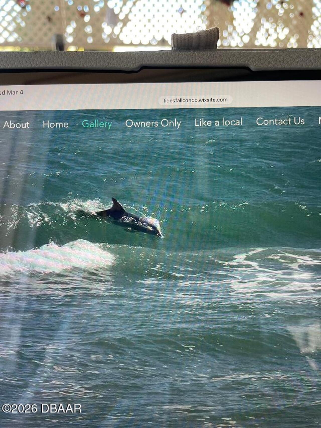 Listing Photo 33