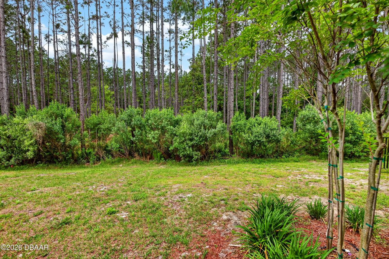 Listing Photo 43