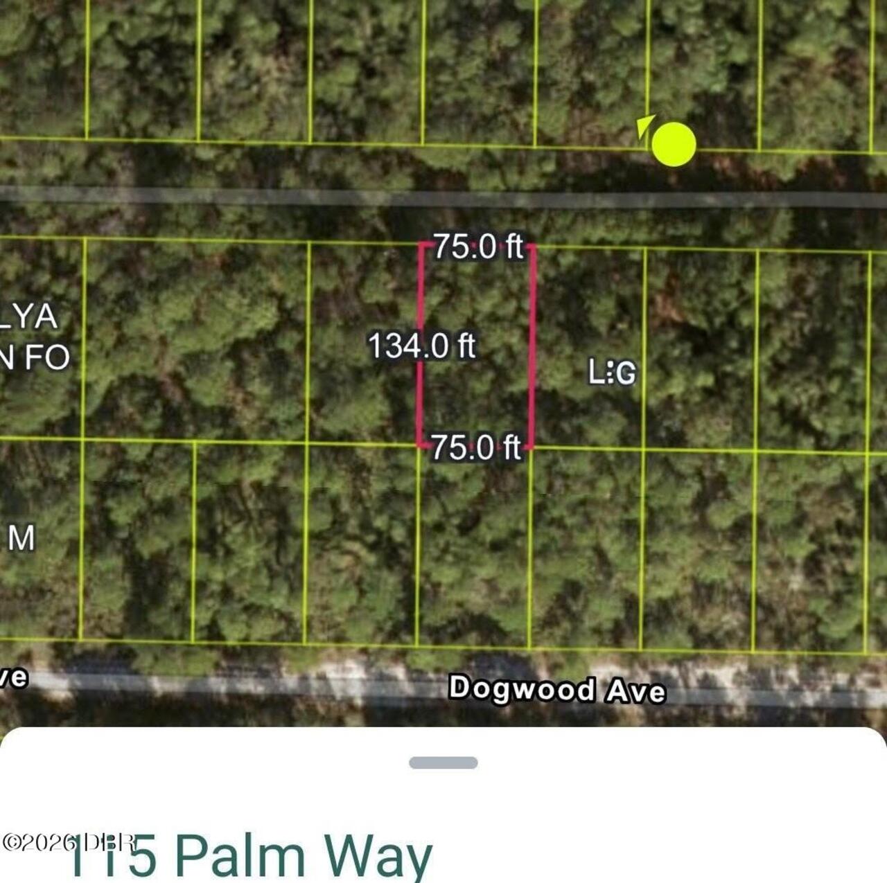 View Listing