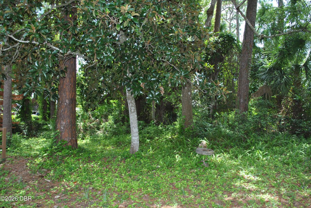 Listing Photo 59