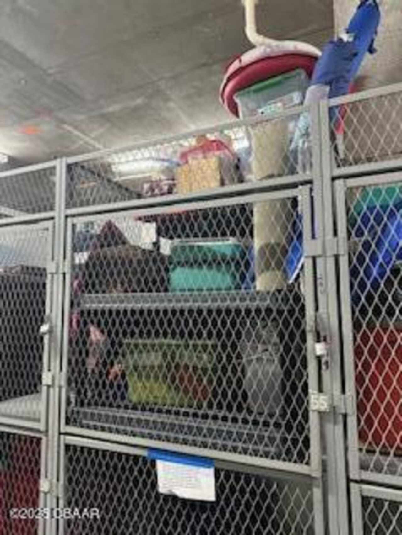 Listing Photo 52