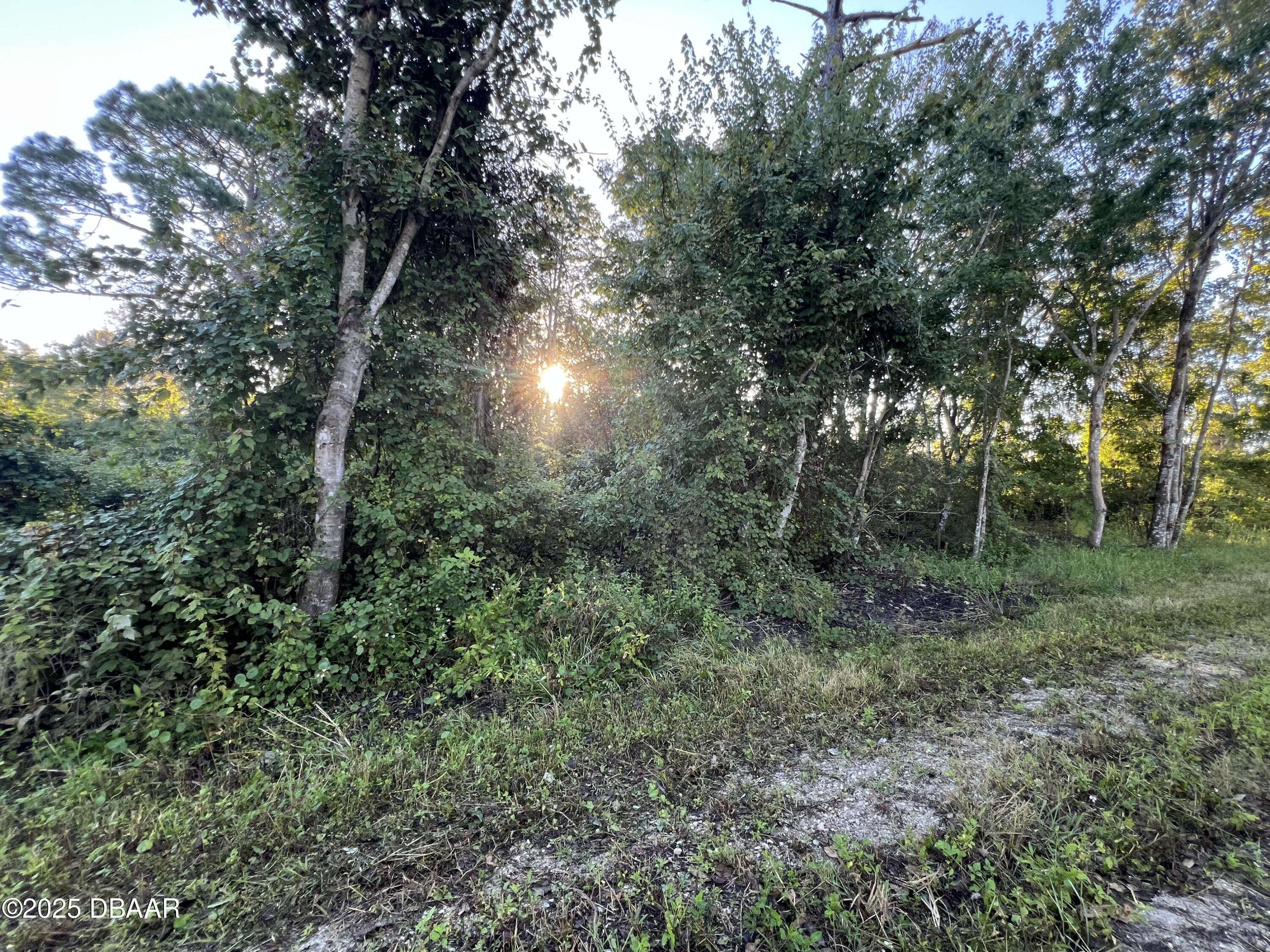 Listing Photo 9
