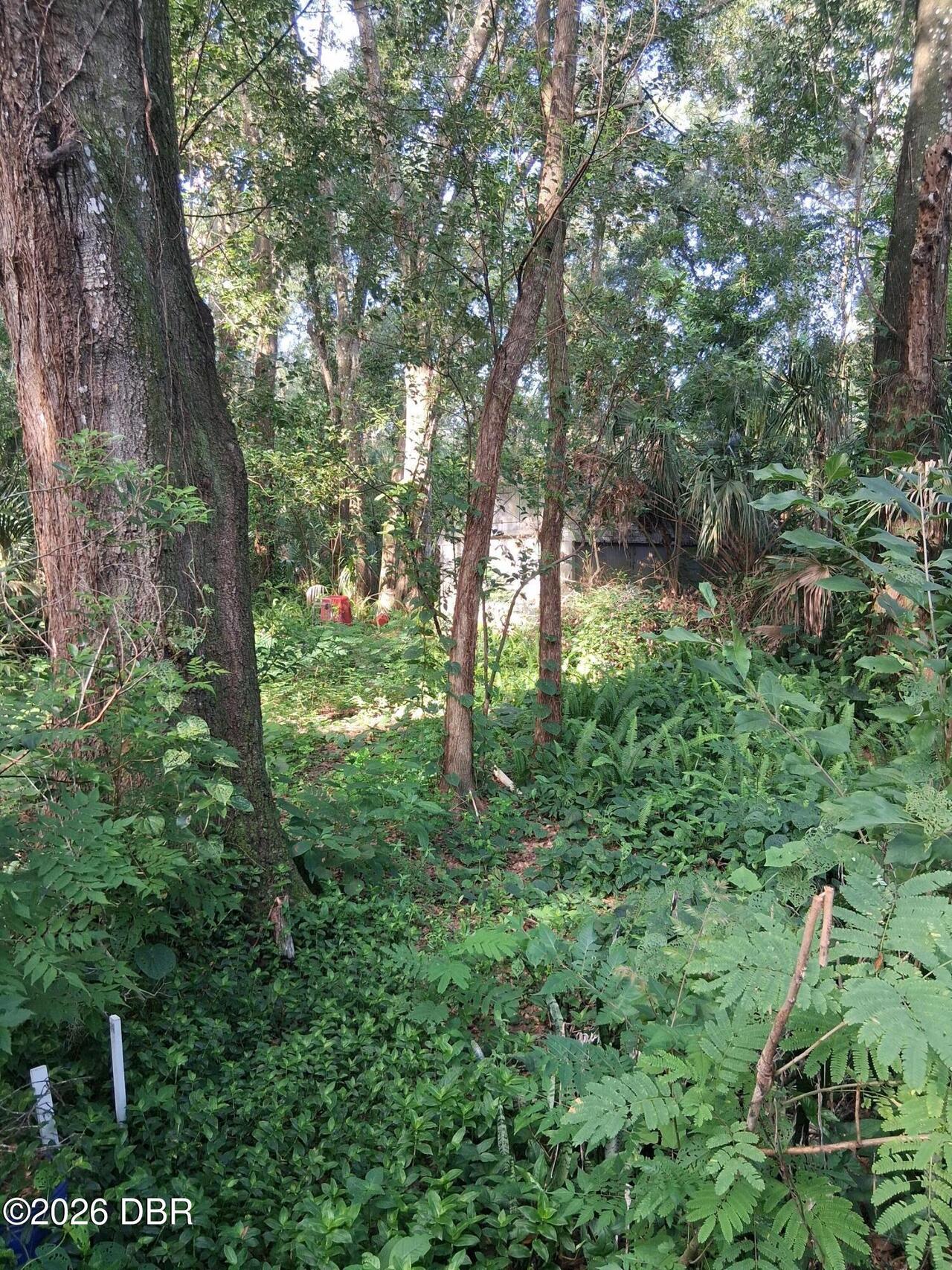 Listing Photo 12