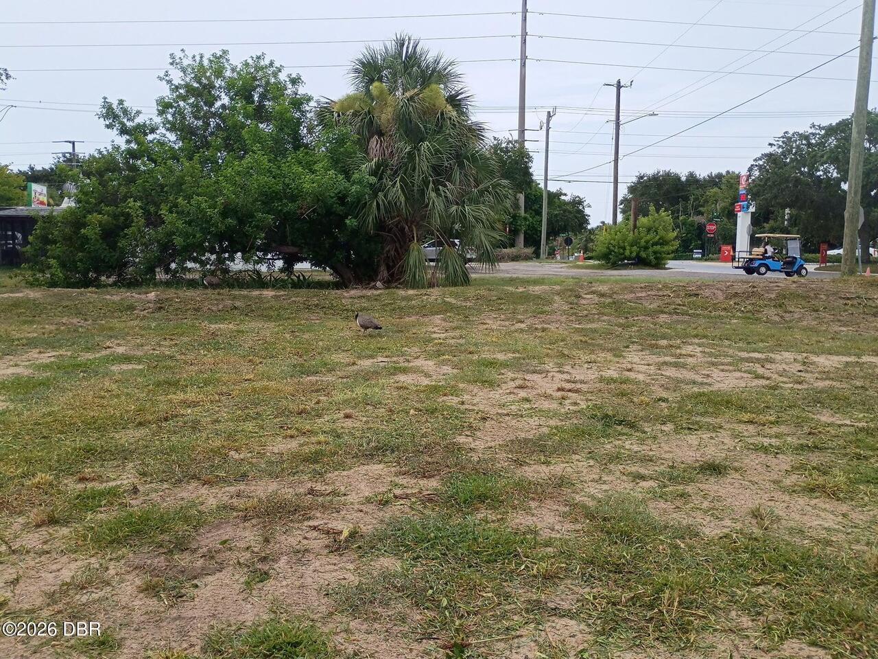 Listing Photo 6