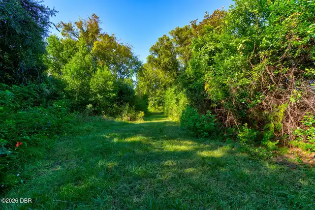 Listing Photo 19