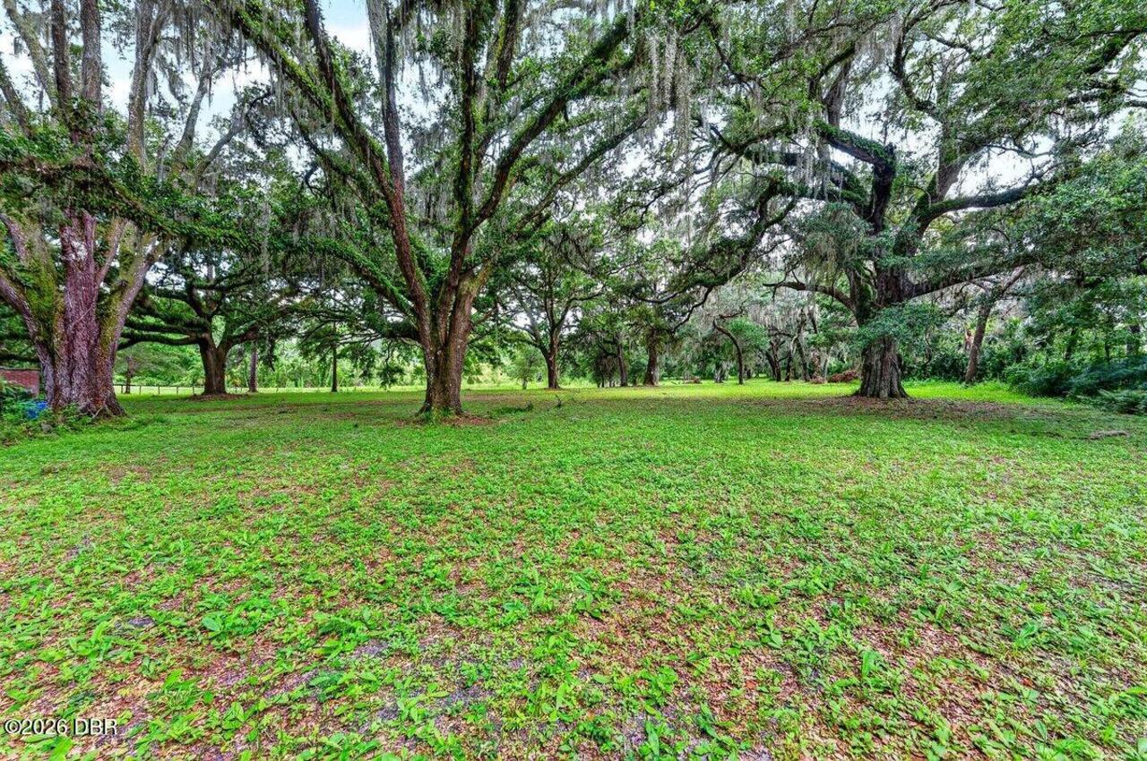 Listing Photo 71