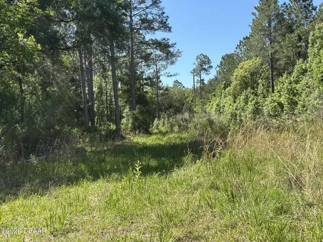 Listing Photo 8