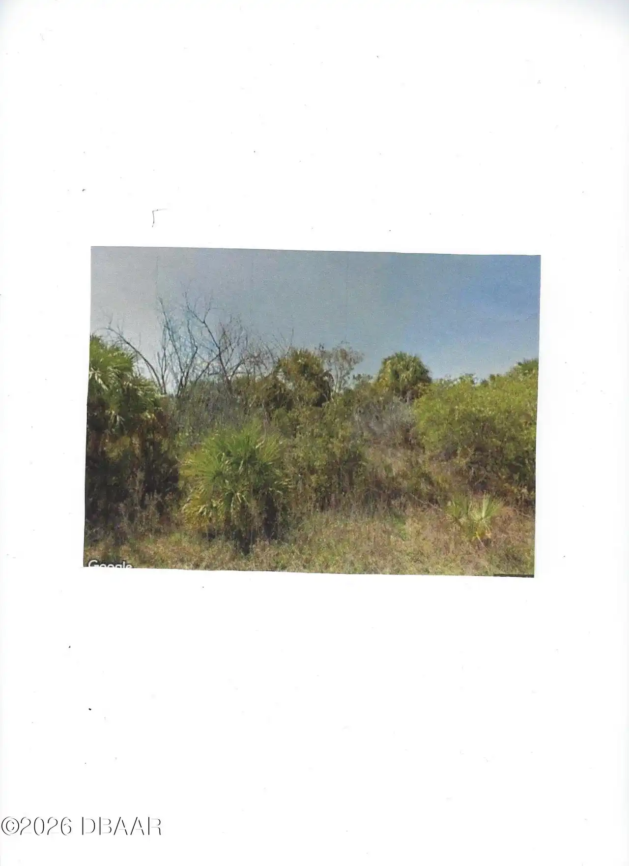 View Listing